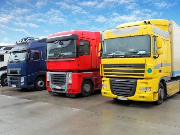 Adana Vakfıkebir Nakliye